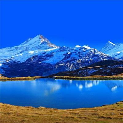 江南体育app下载方式最新