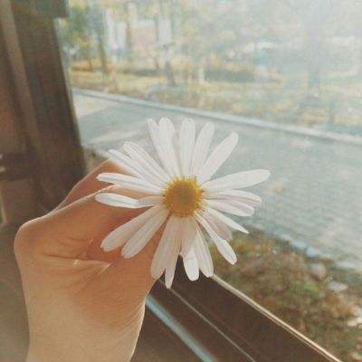 博鱼app体育官方正版下载截图