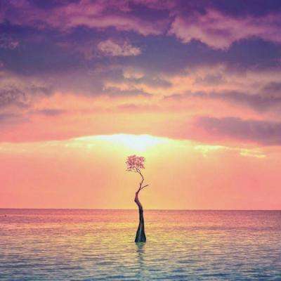 博鱼(boyu)·体育app下载